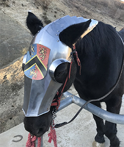 A Knight's Horse's Shaffron